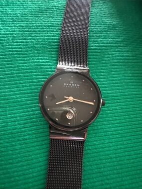 Skagan watch